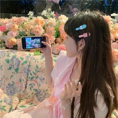 企鹅之岛：福克兰